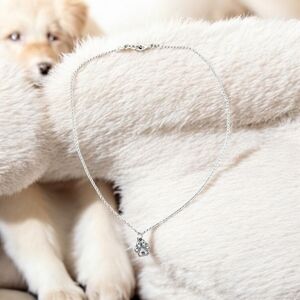 NWT, Dog print charm convertible necklace to anklet, Silver Plated chain